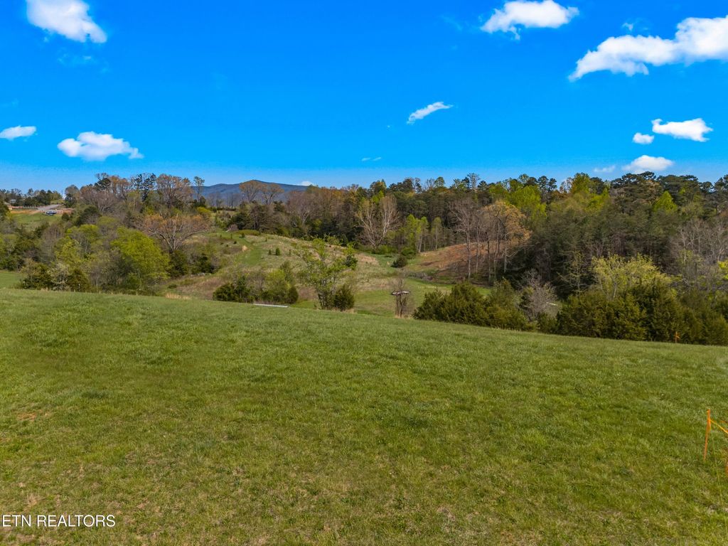Photo of Bogard Rd, Newport, TN 37821 (MLS # 1336413)