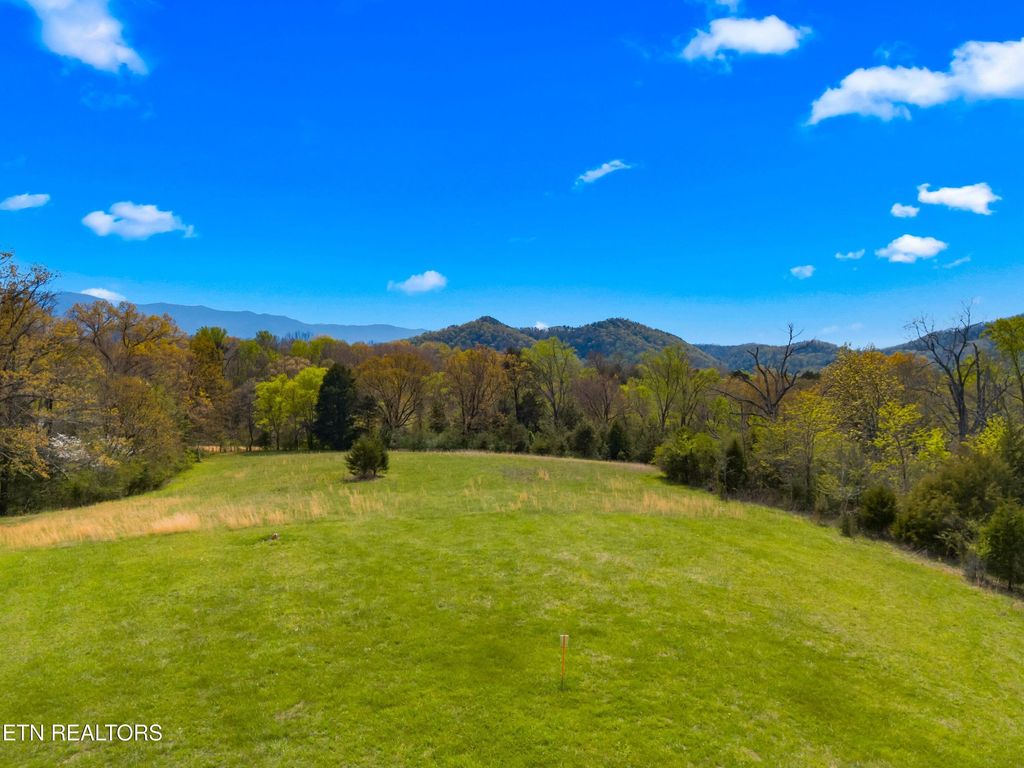 Photo of Bogard Rd, Newport, TN 37821 (MLS # 1336413)