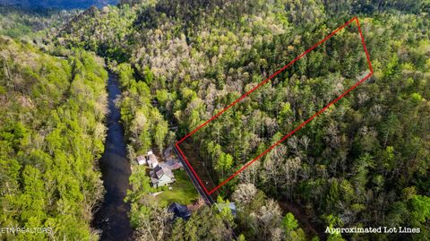 6245 Old Walland Hwy Walland TN 37886