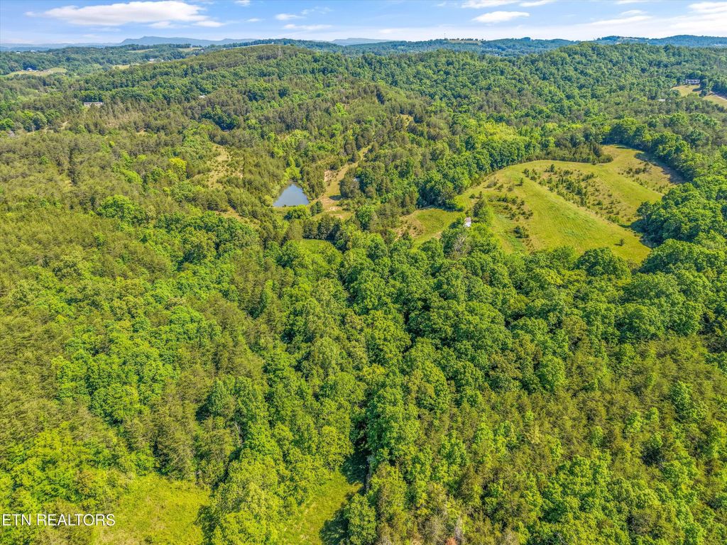 Photo of Alex Bales Rd, Kodak, TN 37764 (MLS # 1341478)