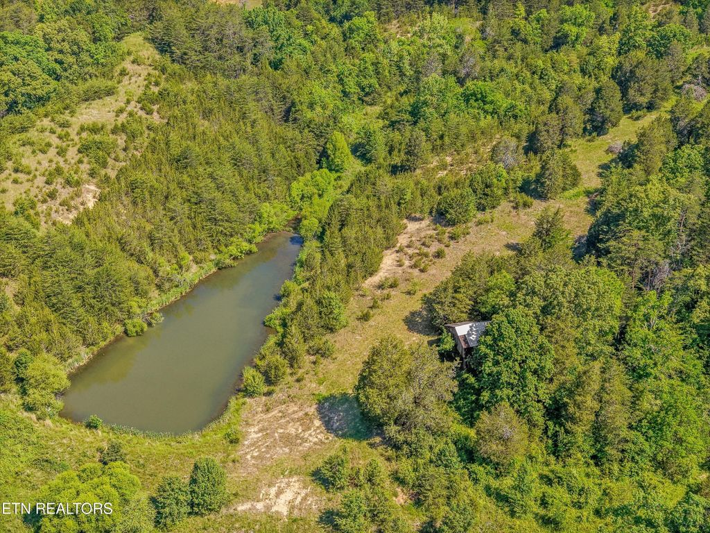 Photo of Alex Bales Rd, Kodak, TN 37764 (MLS # 1341478)