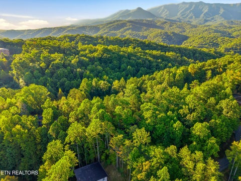 Tiny photo for 507 Eagle Tr, Gatlinburg, TN 37738 (MLS # 1355520)