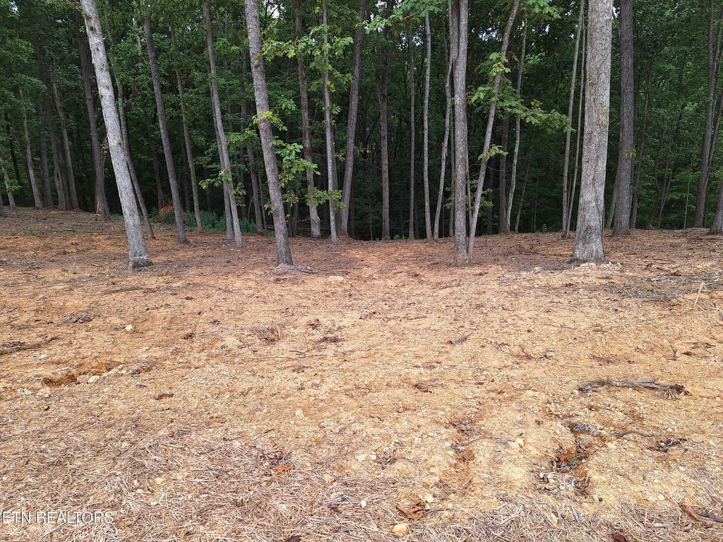 Photo of 121 Cherry Tree Lane, Loudon, TN 37774 (MLS # 1316255)