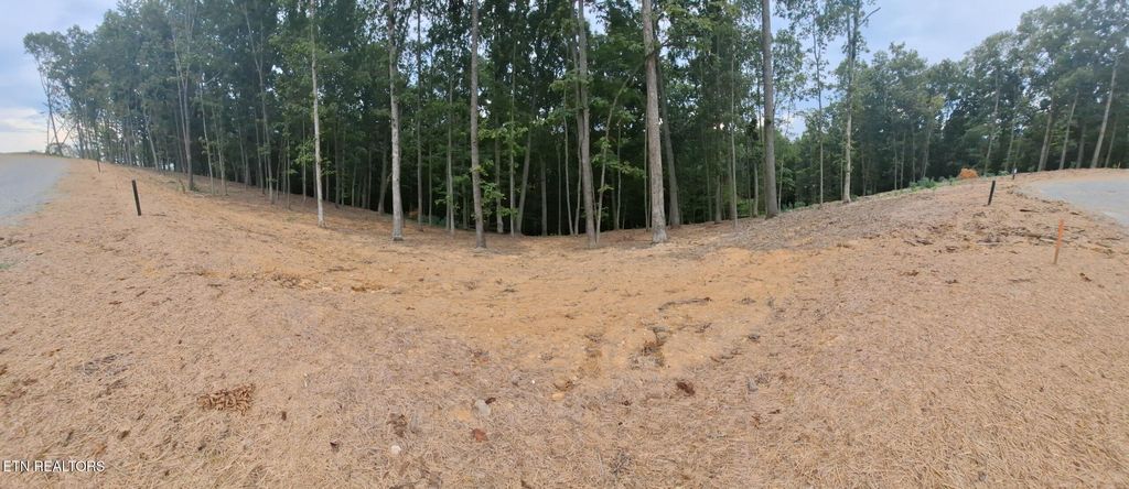 Photo of 121 Cherry Tree Lane, Loudon, TN 37774 (MLS # 1316255)