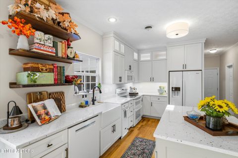 Tiny photo for 1417 Peach Tree St, Sevierville, TN 37862 (MLS # 1321065)