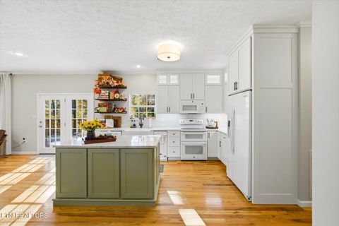 Tiny photo for 1417 Peach Tree St, Sevierville, TN 37862 (MLS # 1321065)