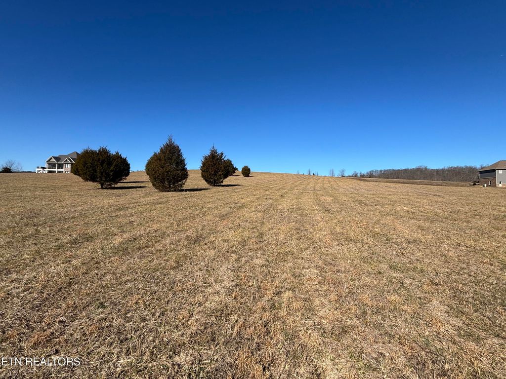 Photo of Pointe Vista Drive, Rockwood, TN 37854 (MLS # 1328799)