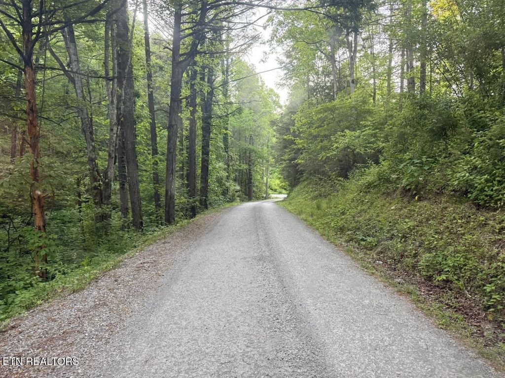 Photo of Big Four Rd, LaFollette, TN 37766 (MLS # 1341413)