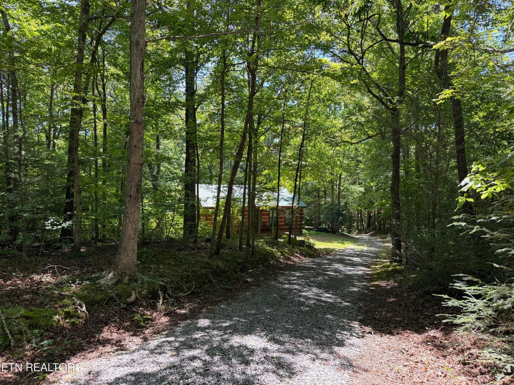 Photo of 2696 Rafter Rd, Tellico Plains, TN 37385 (MLS # 1353223)