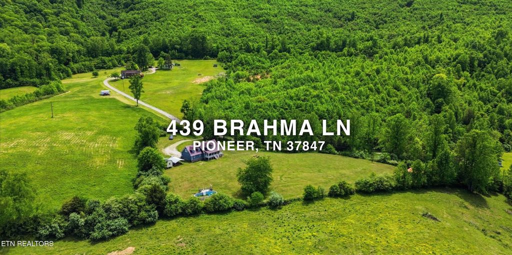Photo of 439 Brahma Lane, Pioneer, TN 37847 (MLS # 1339359)