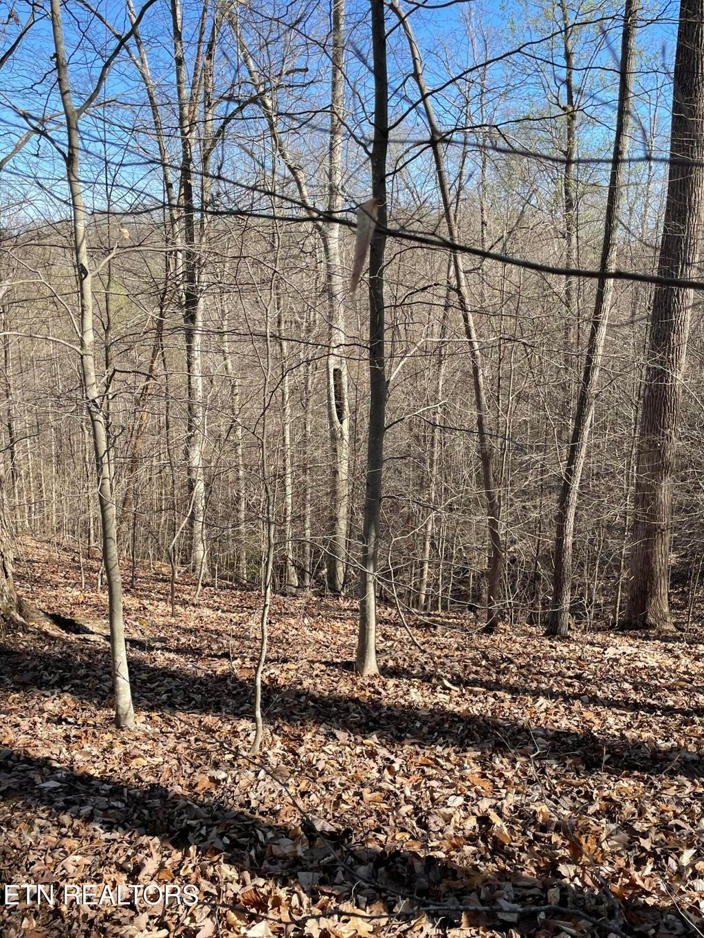 Photo of N Center Ridge Place, Baneberry, TN 37890 (MLS # 1335159)