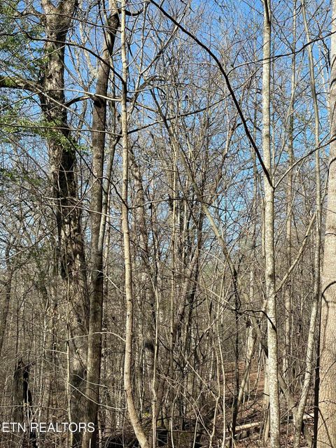 Photo of N Center Ridge Place, Baneberry, TN 37890 (MLS # 1335159)