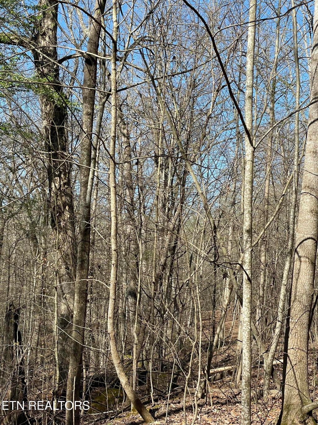 Photo of N Center Ridge Place, Baneberry, TN 37890 (MLS # 1335159)