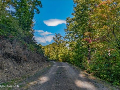 Tiny photo for 5979 Hopi Tr, Del Rio, TN 37727 (MLS # 1358492)