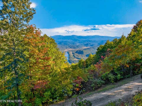 Tiny photo for 5979 Hopi Tr, Del Rio, TN 37727 (MLS # 1358492)