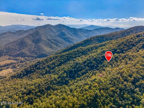 Tiny photo for 5979 Hopi Tr, Del Rio, TN 37727 (MLS # 1358492)