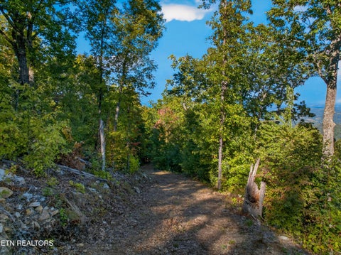 Tiny photo for 5979 Hopi Tr, Del Rio, TN 37727 (MLS # 1358492)