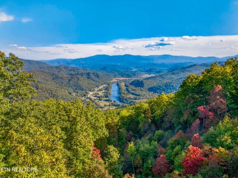 Tiny photo for 5979 Hopi Tr, Del Rio, TN 37727 (MLS # 1358492)