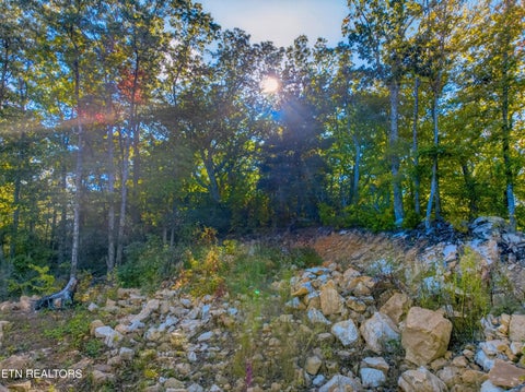 Tiny photo for 5979 Hopi Tr, Del Rio, TN 37727 (MLS # 1358492)