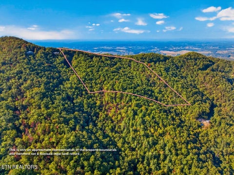 Tiny photo for 5979 Hopi Tr, Del Rio, TN 37727 (MLS # 1358492)