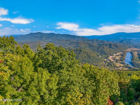 Tiny photo for 5979 Hopi Tr, Del Rio, TN 37727 (MLS # 1358492)