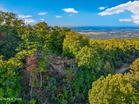 Tiny photo for 5979 Hopi Tr, Del Rio, TN 37727 (MLS # 1358492)