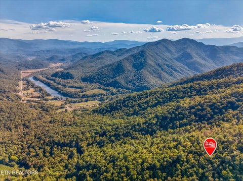 Tiny photo for 5979 Hopi Tr, Del Rio, TN 37727 (MLS # 1358492)