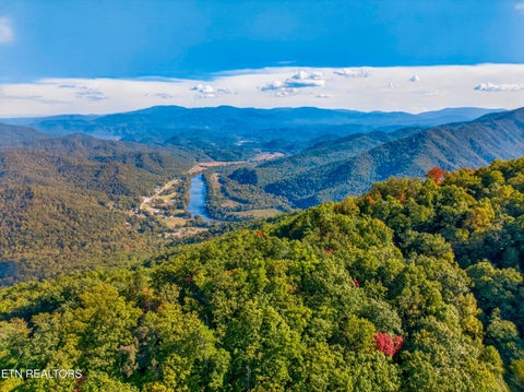 Tiny photo for 5979 Hopi Tr, Del Rio, TN 37727 (MLS # 1358492)