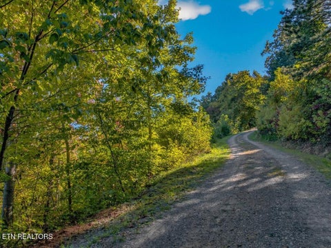 Tiny photo for 5979 Hopi Tr, Del Rio, TN 37727 (MLS # 1358492)
