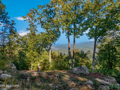 Tiny photo for 5979 Hopi Tr, Del Rio, TN 37727 (MLS # 1358492)