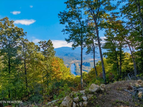 Tiny photo for 5979 Hopi Tr, Del Rio, TN 37727 (MLS # 1358492)