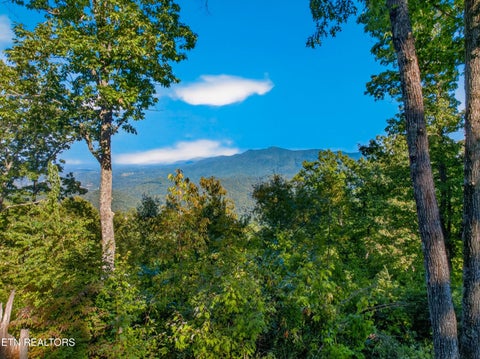 Tiny photo for 5979 Hopi Tr, Del Rio, TN 37727 (MLS # 1358492)