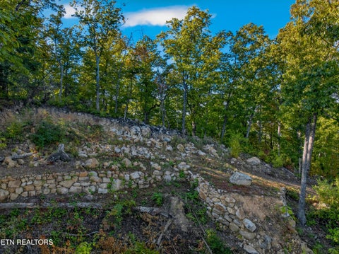 Tiny photo for 5979 Hopi Tr, Del Rio, TN 37727 (MLS # 1358492)