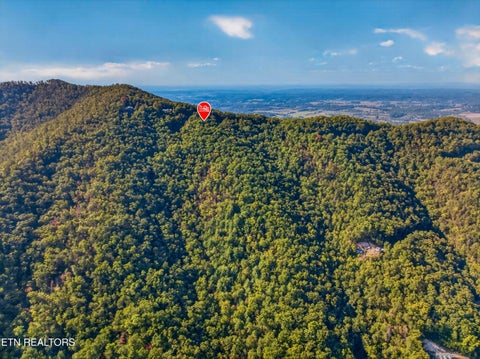 Tiny photo for 5979 Hopi Tr, Del Rio, TN 37727 (MLS # 1358492)