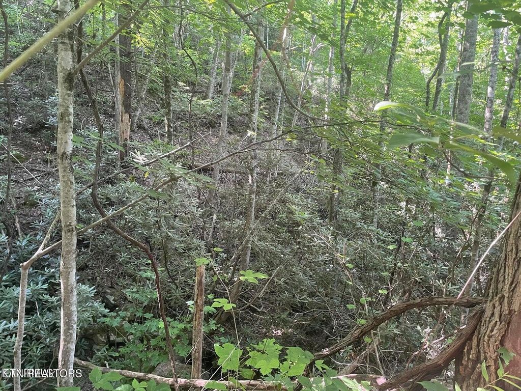 Photo of 1 Sycamore St, Sevierville, TN 37876 (MLS # 1285911)