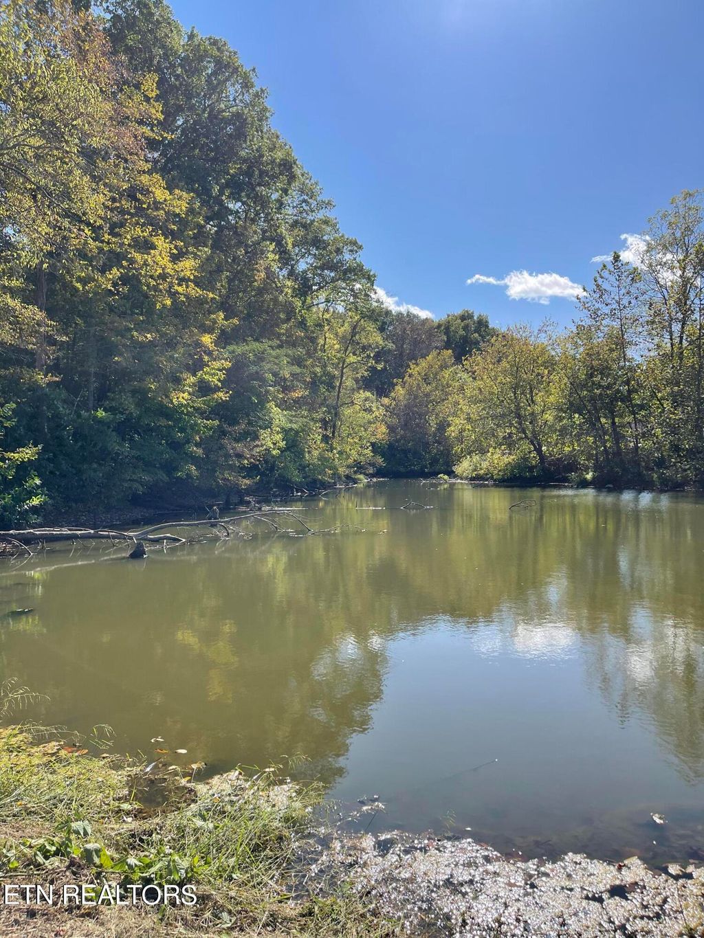 Photo of 138 Bill Key Lane, Oliver Springs, TN 37840 (MLS # 1242224)