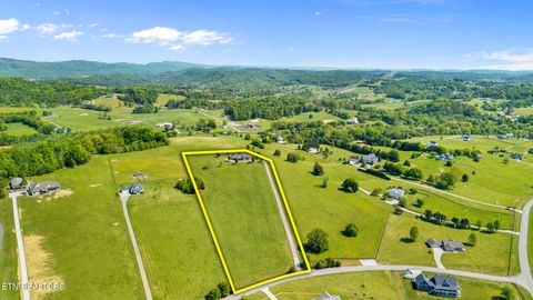 Tiny photo for 348 Ranch Rd, Blaine, TN 37709 (MLS # 1337616)