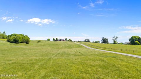 Tiny photo for 348 Ranch Rd, Blaine, TN 37709 (MLS # 1337616)