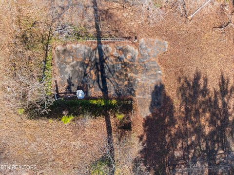 Tiny photo for 196 Ellis Rd, Kingston, TN 37763 (MLS # 1326348)