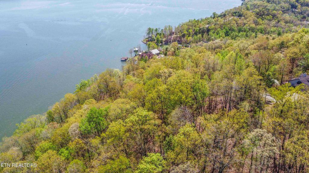 Photo of 42 Eerie Point, Rockwood, TN 37854 (MLS # 1296810)