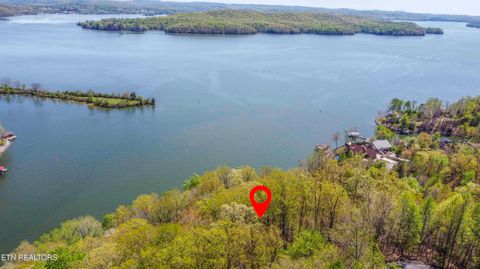 42 Eerie Point Rockwood TN 37854