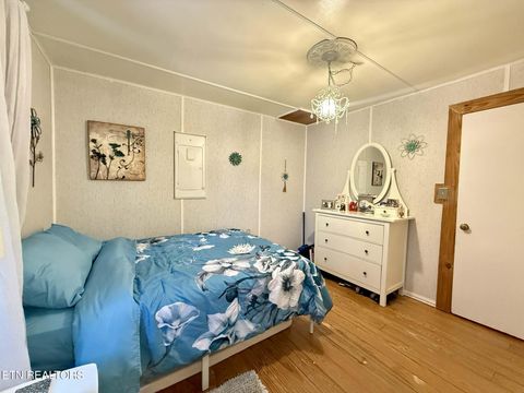 Tiny photo for 508 Petit Lane, Wartburg, TN 37887 (MLS # 1330790)