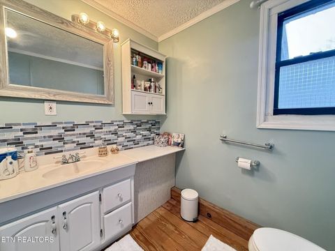 Tiny photo for 508 Petit Lane, Wartburg, TN 37887 (MLS # 1330790)