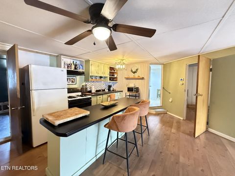 Tiny photo for 508 Petit Lane, Wartburg, TN 37887 (MLS # 1330790)