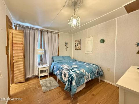 Tiny photo for 508 Petit Lane, Wartburg, TN 37887 (MLS # 1330790)