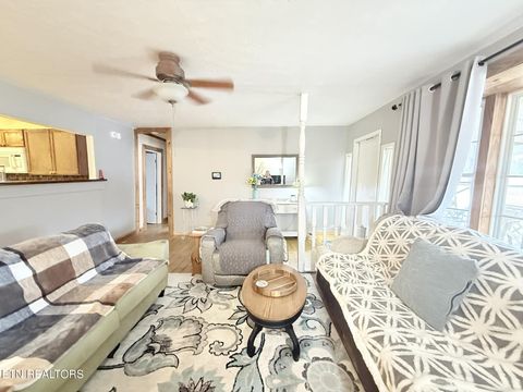 Tiny photo for 508 Petit Lane, Wartburg, TN 37887 (MLS # 1330790)