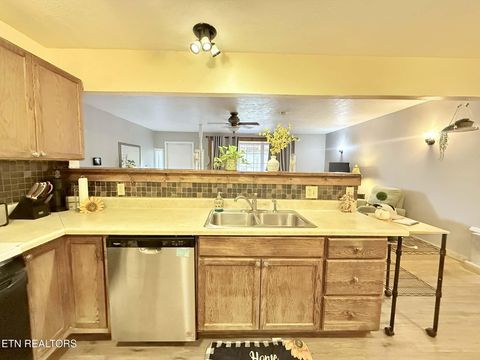 Tiny photo for 508 Petit Lane, Wartburg, TN 37887 (MLS # 1330790)