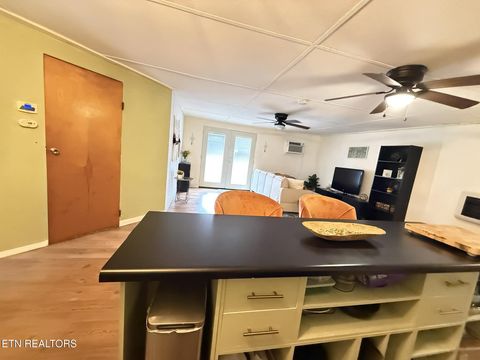 Tiny photo for 508 Petit Lane, Wartburg, TN 37887 (MLS # 1330790)