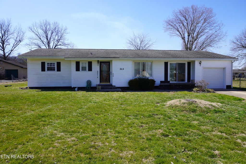 Photo of 313 Rich Rd Rd, Newport, TN 37821 (MLS # 1293499)