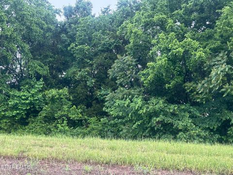 Lot 52 The Gates Drive Decatur TN 37322